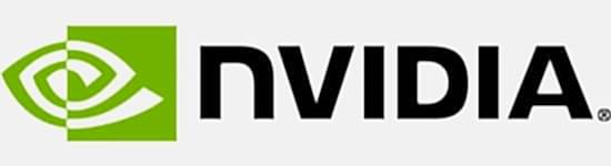 Language School Reference Nvidia Company Logo